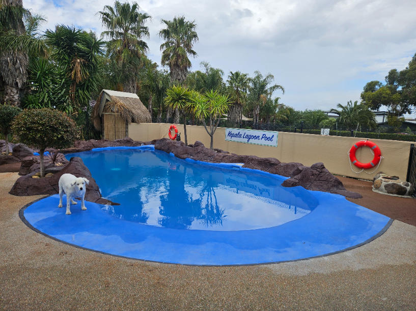 Rent Private Off-Leash Dog Park in DIGGERS REST VIC Kepala